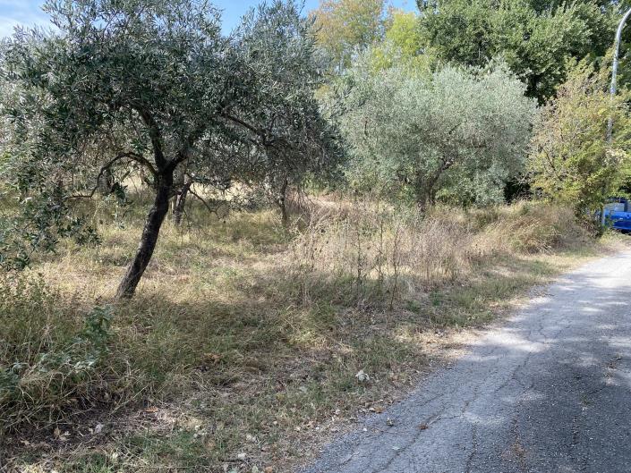 Image No.46-Ferme à vendre à Perano