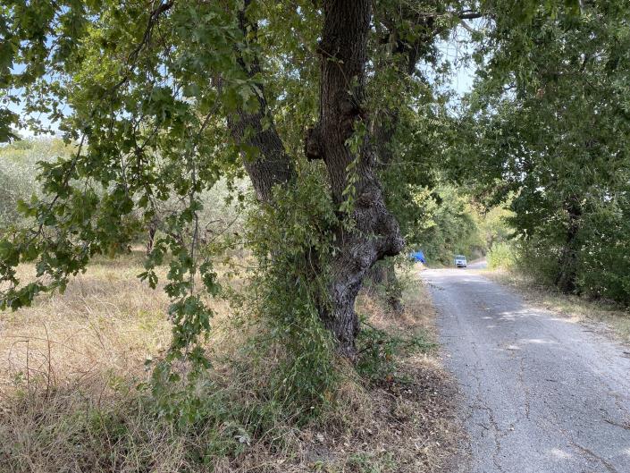 Image No.48-Ferme à vendre à Perano