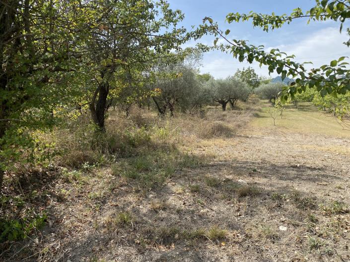 Image No.50-Ferme à vendre à Perano