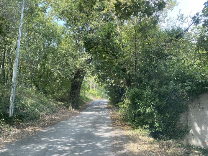 Image No.51-Ferme à vendre à Perano