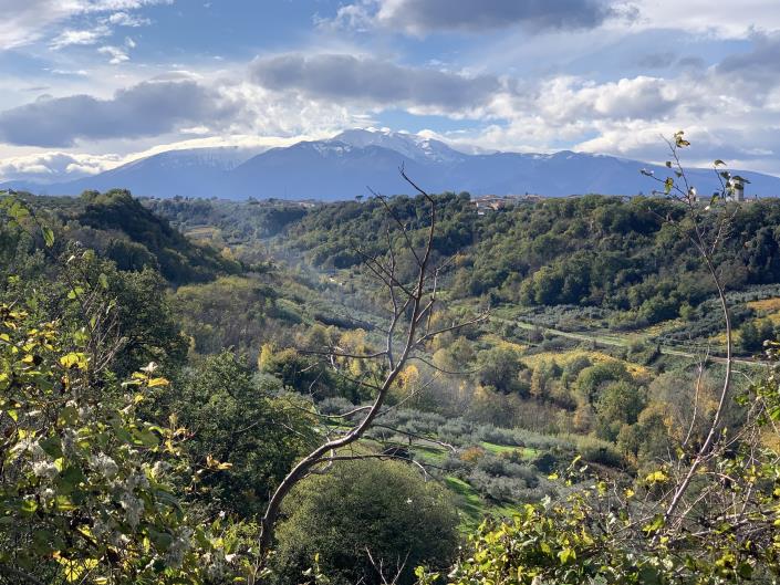 Image No.44-2 Bed Village House for sale