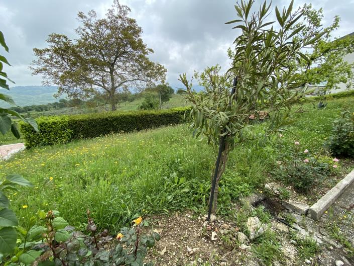 Image No.31-3 Bed House for sale