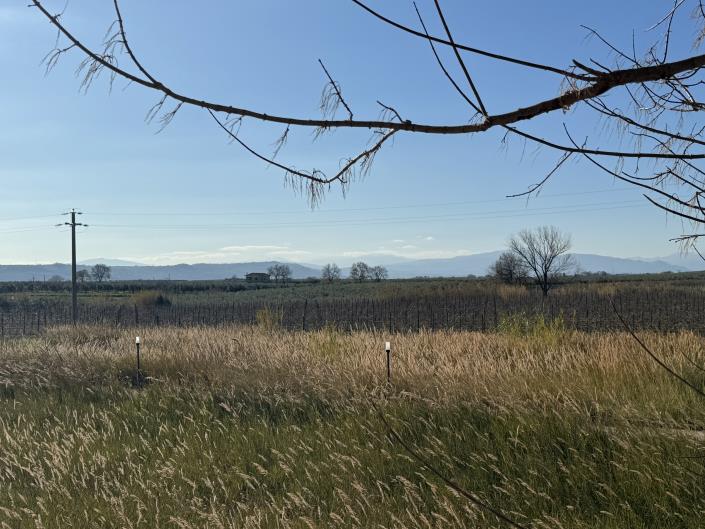 Image No.22-2 Bed Apartment for sale