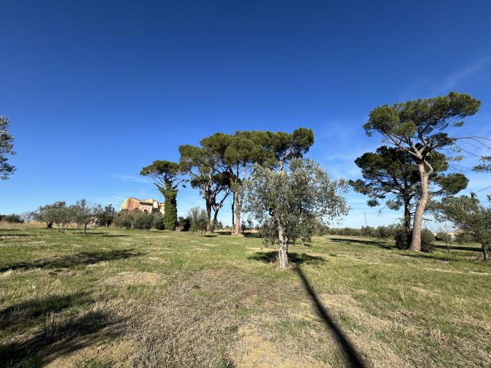 Image No.8-Land for sale