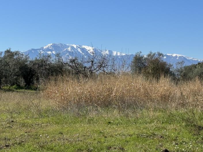 Image No.3-Land for sale