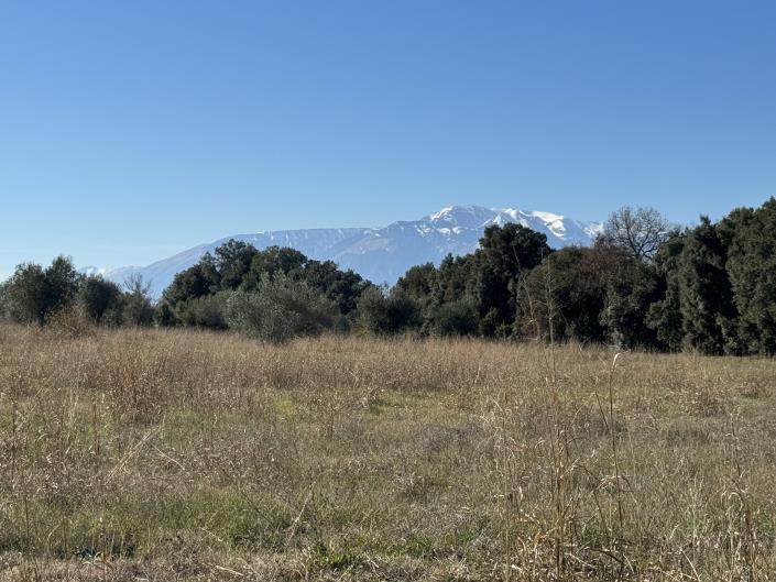 Image No.7-Land for sale