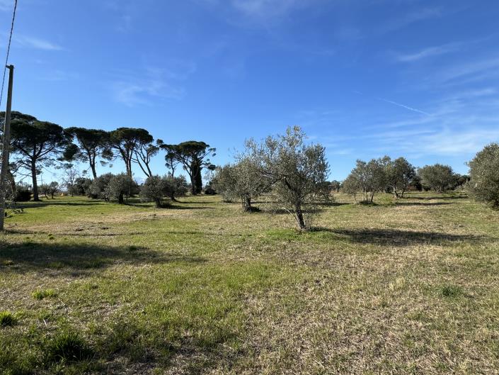 Image No.21-Land for sale