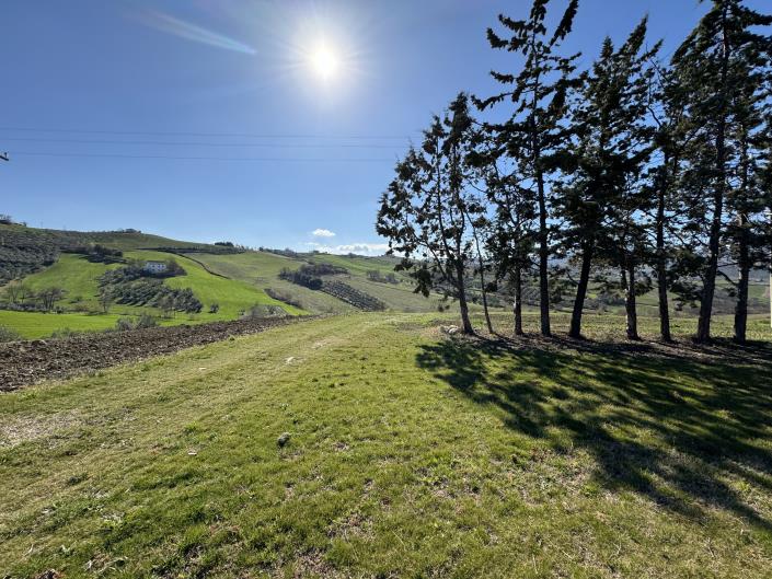 Image No.4-6 Bed Farmhouse for sale