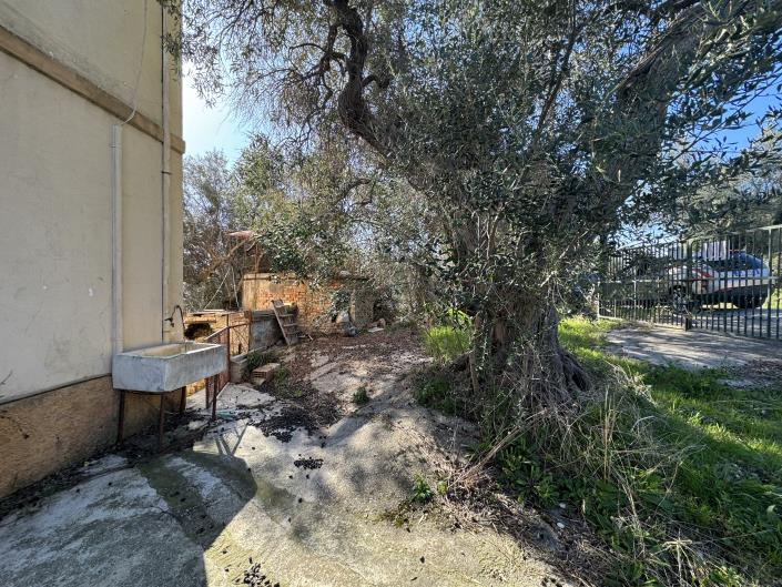 Image No.5-3 Bed House for sale