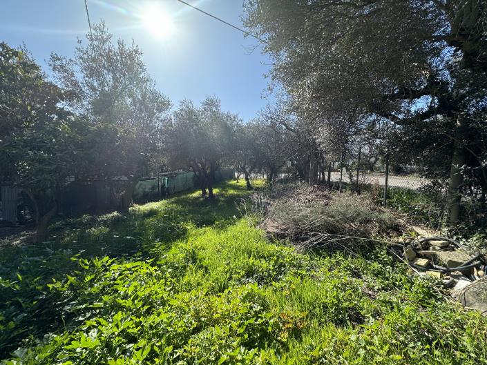 Image No.44-3 Bed House for sale