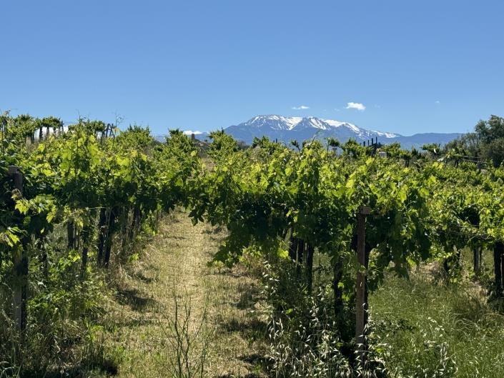 Image No.3-Studio à vendre à Castél Frentano