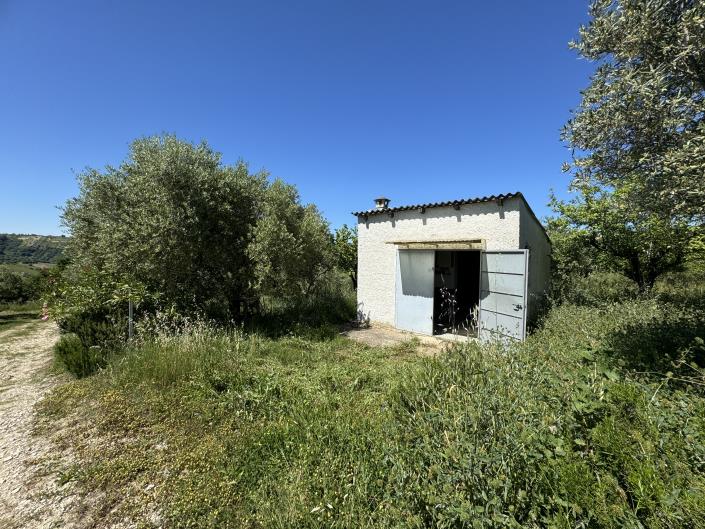 Image No.2-Studio à vendre à Castél Frentano