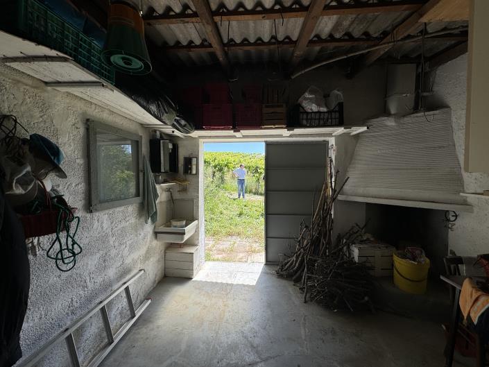 Image No.5-Studio à vendre à Castél Frentano