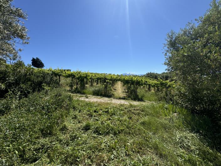 Image No.14-Studio à vendre à Castél Frentano