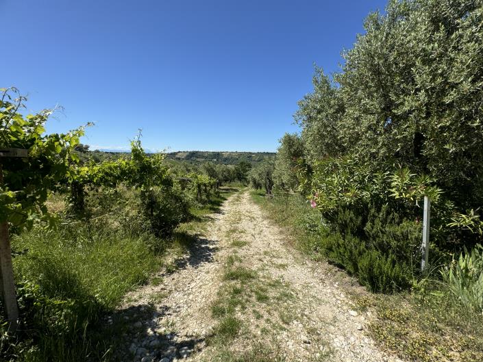 Image No.15-Studio à vendre à Castél Frentano