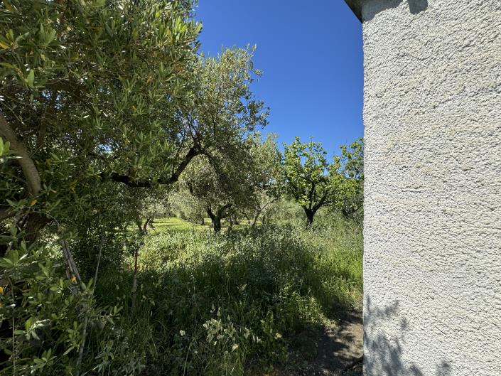 Image No.19-Studio à vendre à Castél Frentano
