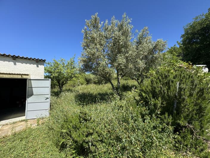 Image No.20-Studio à vendre à Castél Frentano