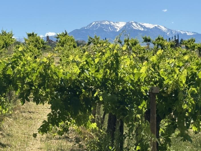 Image No.22-Studio à vendre à Castél Frentano