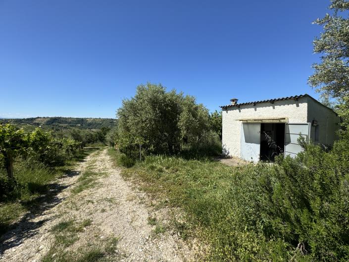 Image No.23-Studio à vendre à Castél Frentano