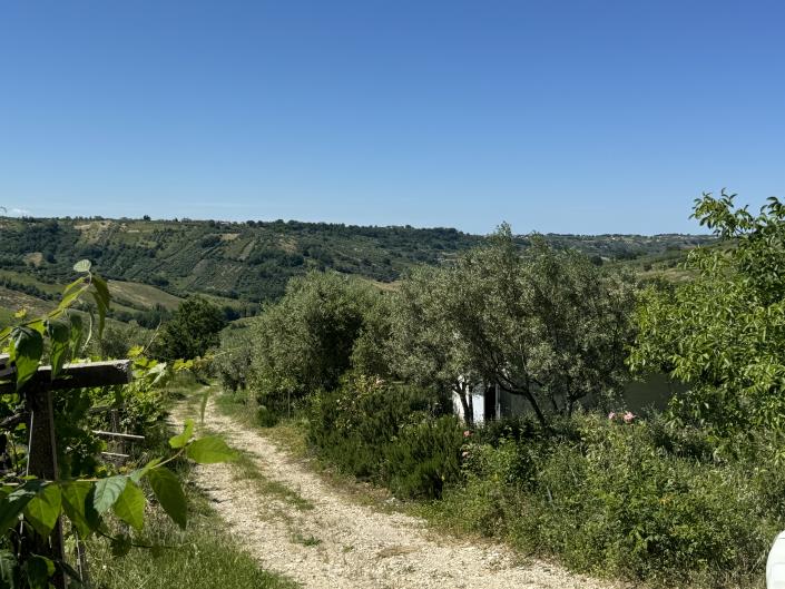 Image No.24-Studio à vendre à Castél Frentano