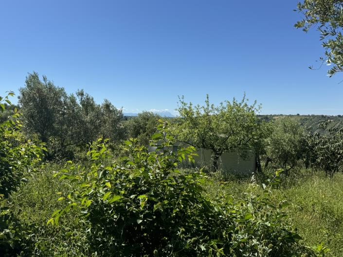 Image No.25-Studio à vendre à Castél Frentano