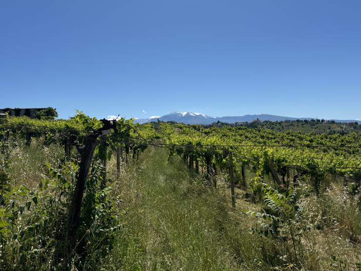 Image No.26-Studio à vendre à Castél Frentano