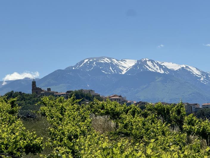 Image No.27-Studio à vendre à Castél Frentano
