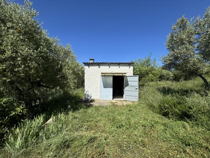 Image No.28-Studio à vendre à Castél Frentano