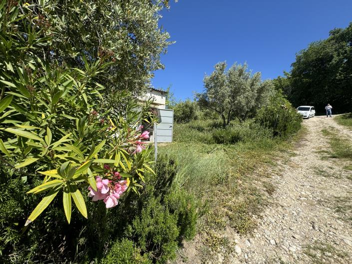 Image No.29-Studio à vendre à Castél Frentano