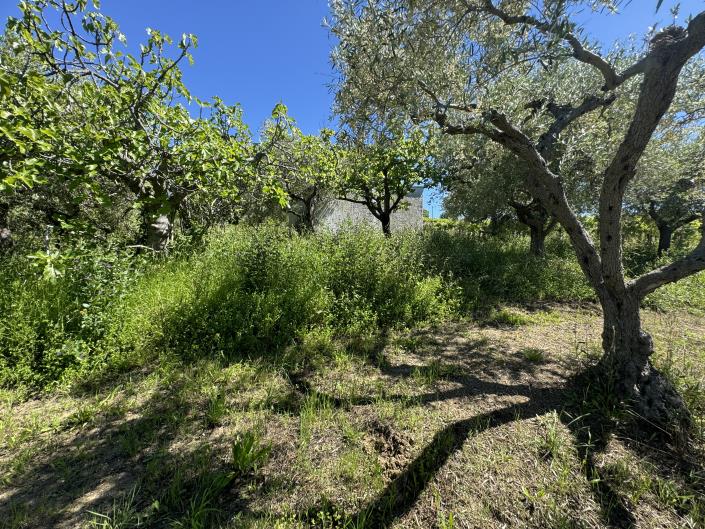 Image No.31-Studio à vendre à Castél Frentano
