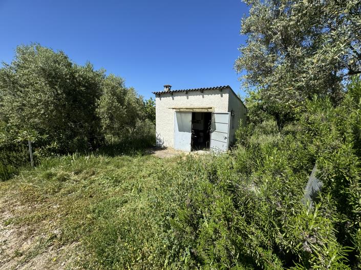 Image No.32-Studio à vendre à Castél Frentano