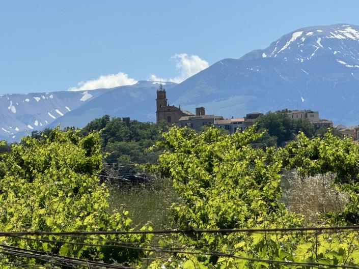 Image No.34-Studio à vendre à Castél Frentano