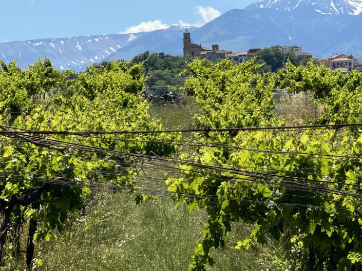 Image No.35-Studio à vendre à Castél Frentano