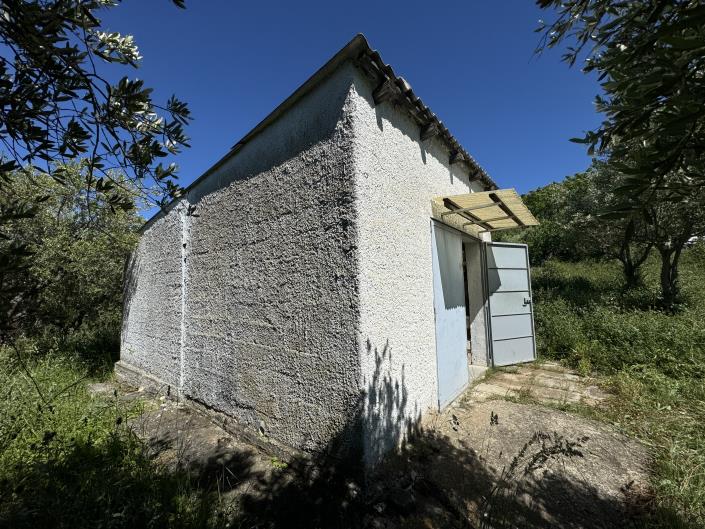 Image No.37-Studio à vendre à Castél Frentano