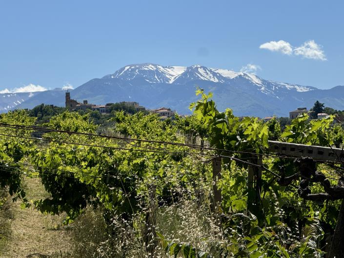 Image No.40-Studio à vendre à Castél Frentano