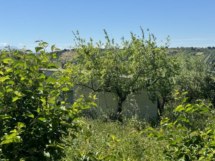 Image No.41-Studio à vendre à Castél Frentano