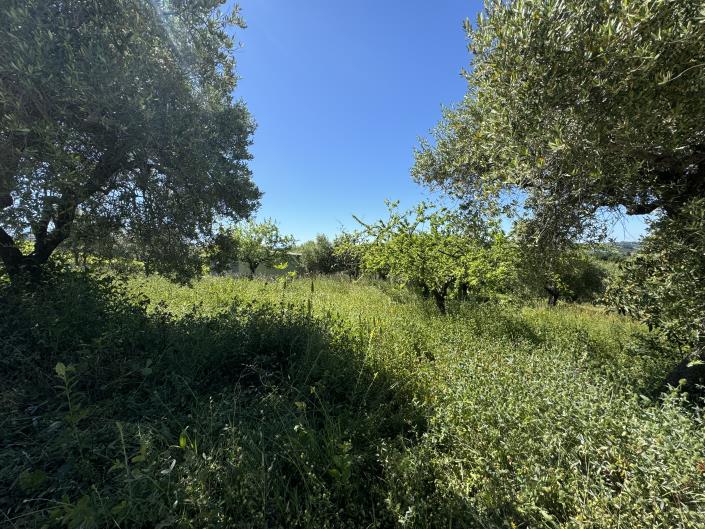 Image No.42-Studio à vendre à Castél Frentano