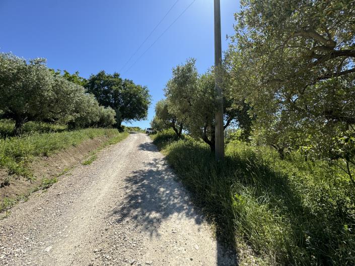 Image No.43-Studio à vendre à Castél Frentano
