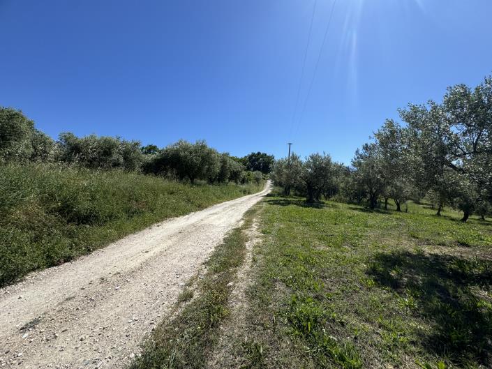 Image No.45-Studio à vendre à Castél Frentano