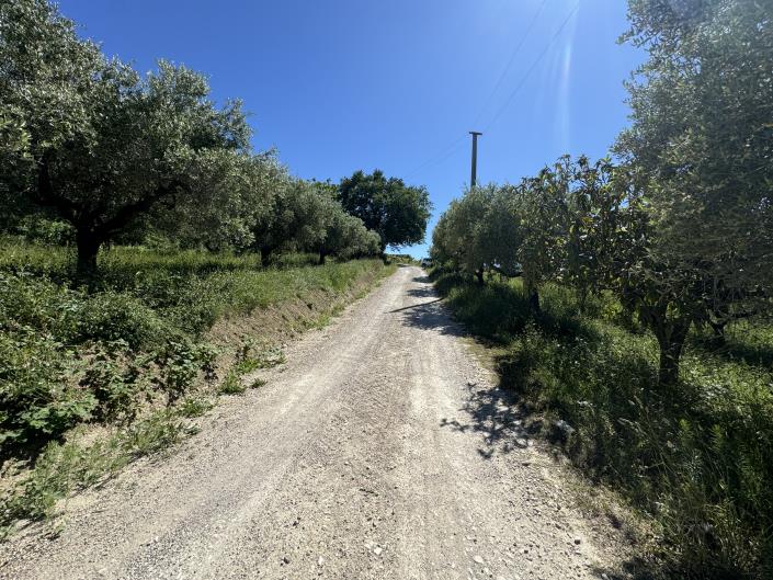Image No.44-Studio à vendre à Castél Frentano
