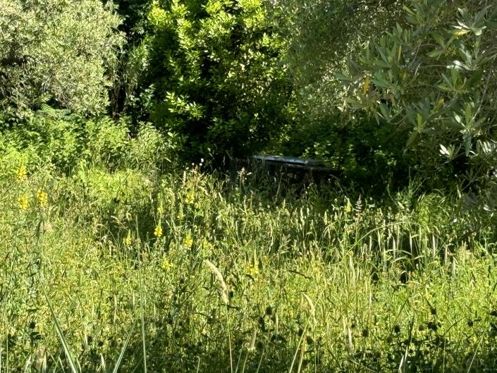 Image No.46-Studio à vendre à Castél Frentano