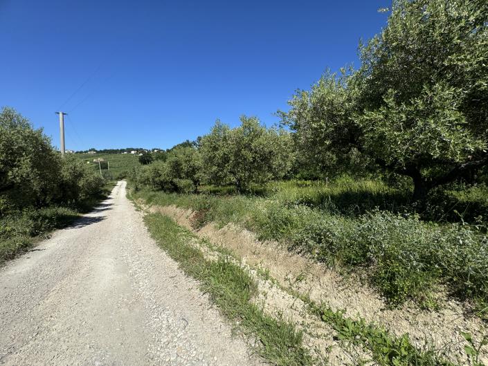 Image No.48-Studio à vendre à Castél Frentano