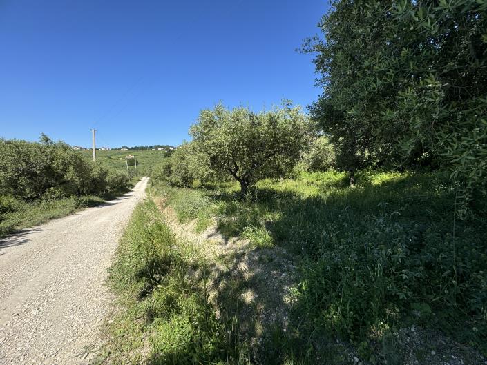 Image No.49-Studio à vendre à Castél Frentano