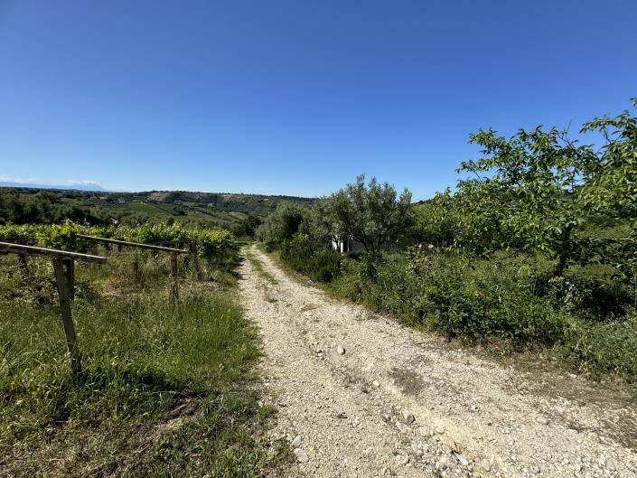 Image No.52-Studio à vendre à Castél Frentano
