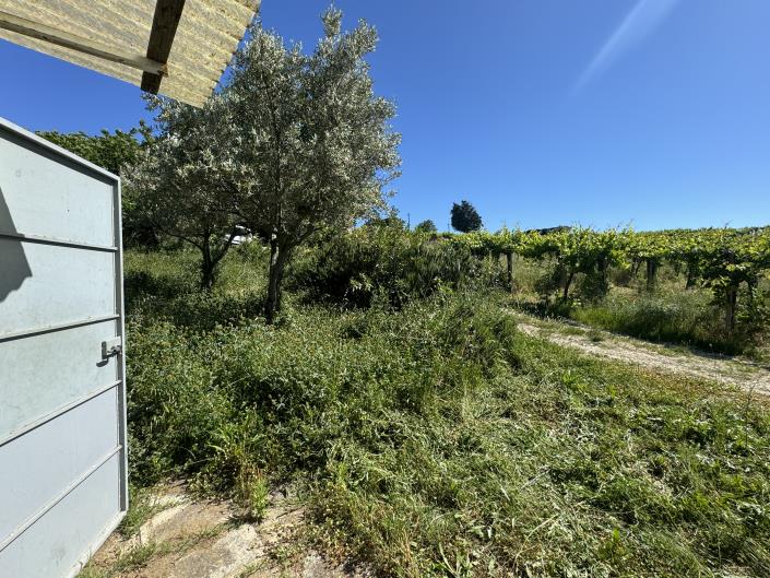 Image No.54-Studio à vendre à Castél Frentano