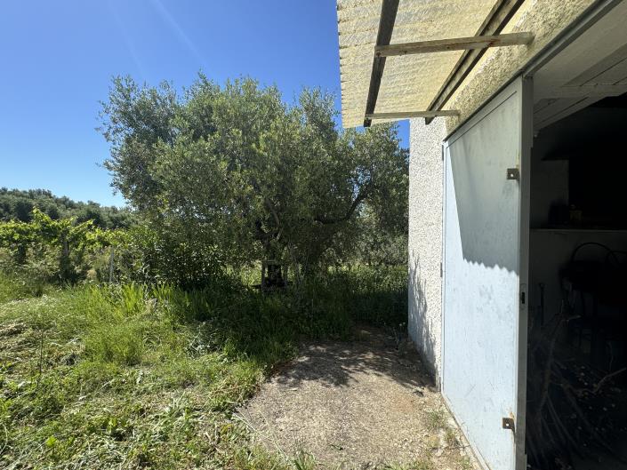 Image No.55-Studio à vendre à Castél Frentano