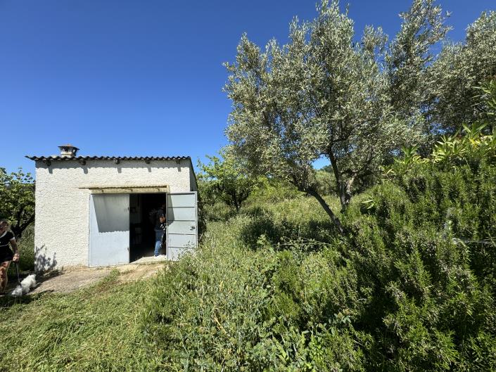 Image No.56-Studio à vendre à Castél Frentano