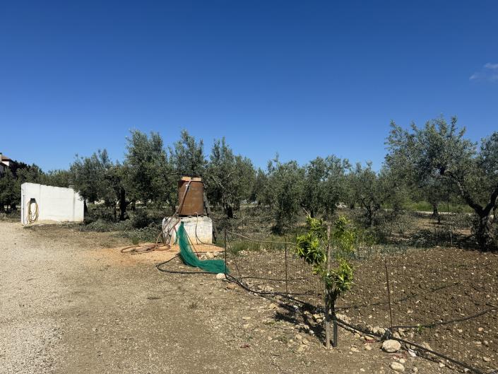 Image No.7-Villa / Détaché de 3 chambres à vendre à Scerni