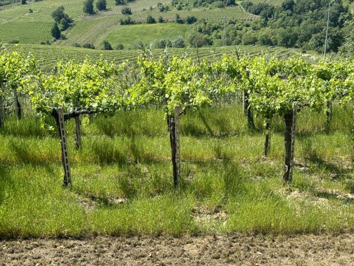 Image No.26-Villa / Détaché de 3 chambres à vendre à Scerni