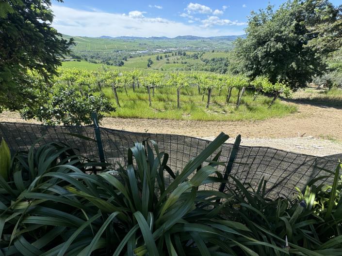 Image No.27-Villa / Détaché de 3 chambres à vendre à Scerni